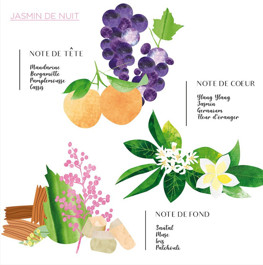 Spray d’ambiance [jasmin de nuit]