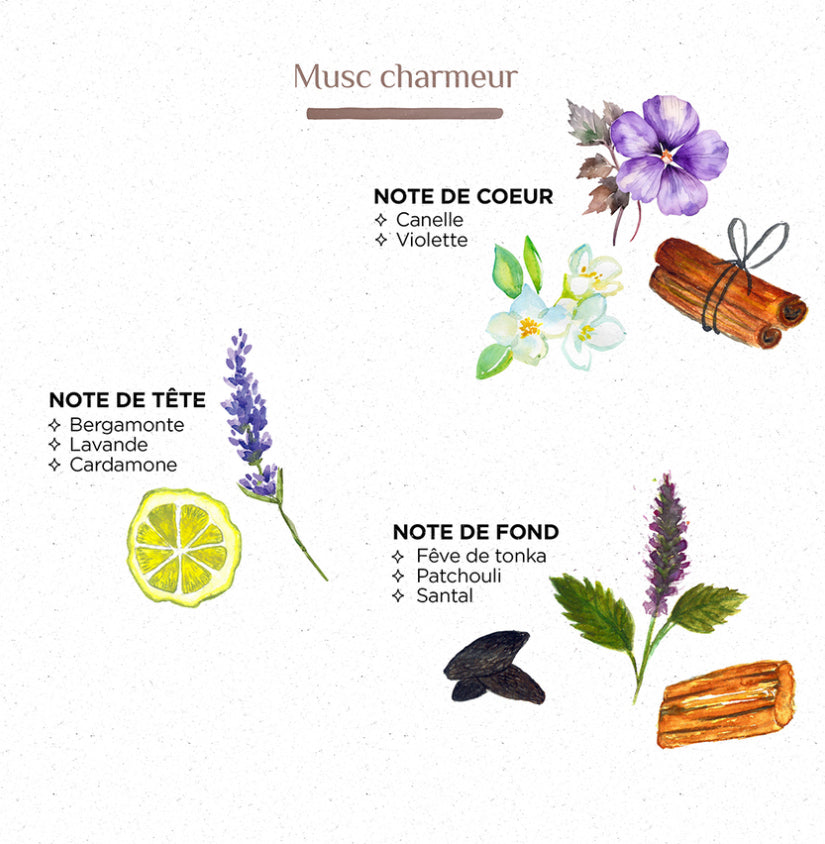 Spray d’ambiance [musc charmeur]