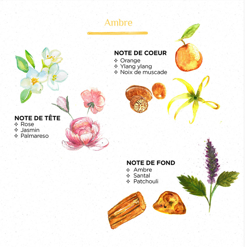 Diffuseur bâtonnet [ambre]