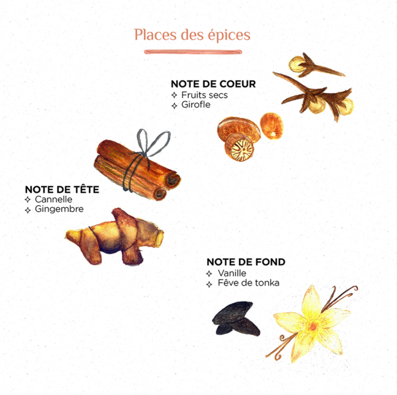 Diffuseur bâtonnet [place des épices]