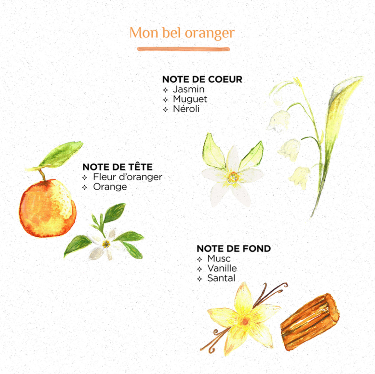 Diffuseur bâtonnet [fleur d’oranger]
