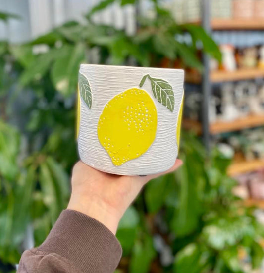 Cache-pot [citron]